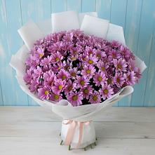 Букет цветов из:  Хризантемы в Костомукше