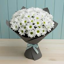 Букет цветов из:  Хризантемы #REPLACE_PRED# Костомукше