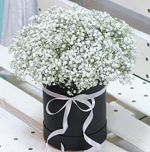 Цветочная композиция из Гипсофила в шляпной коробке #REPLACE_PRED# Костомукше