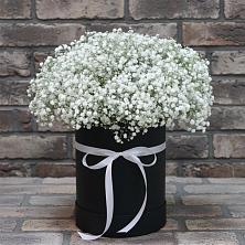 Цветочная композиция из Гипсофила в шляпной коробке в Костомукше